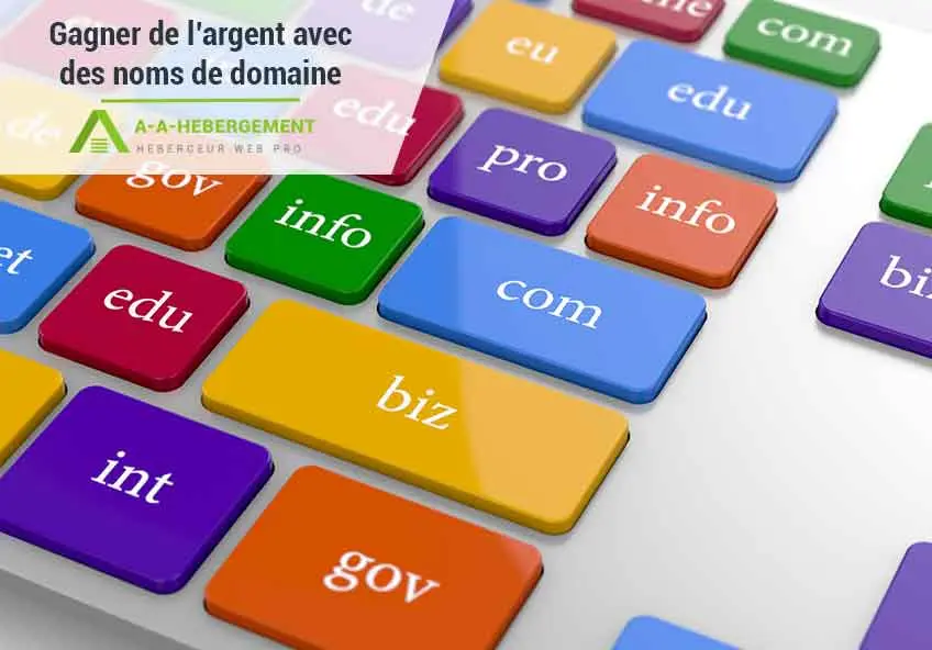 Comment gagner de l&rsquo;argent avec les noms de domaine ?
