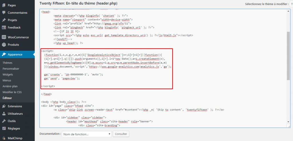 google-analytics-wordpress